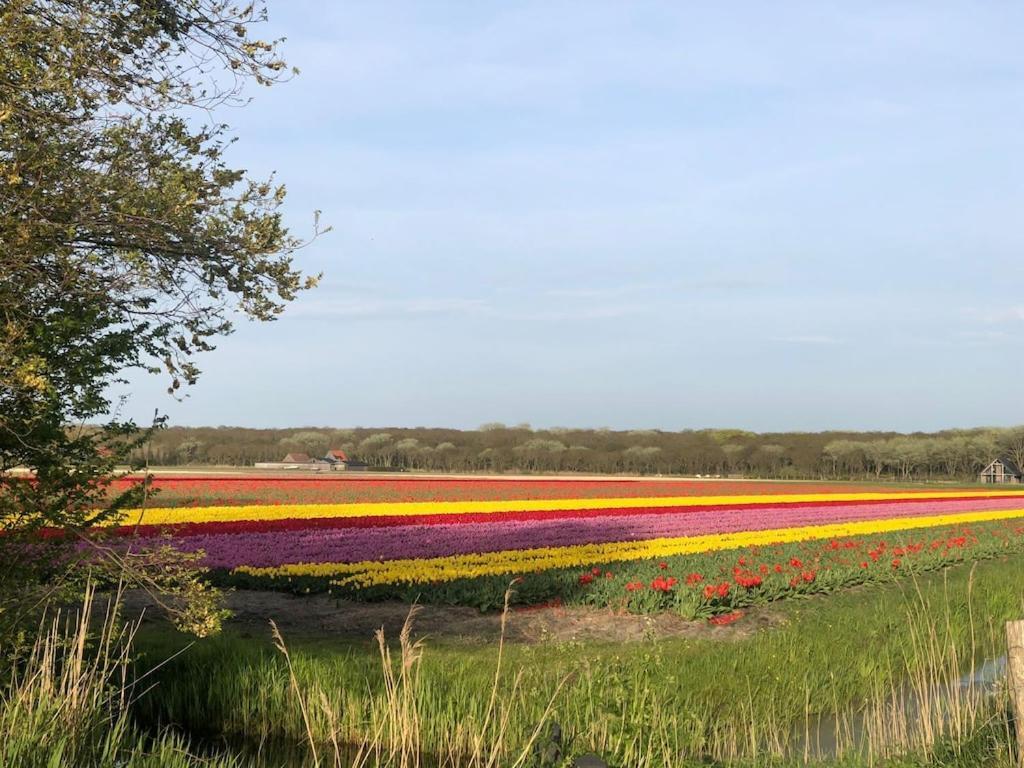Meno Mosso Villa Sint Maartensvlotbrug Kültér fotó